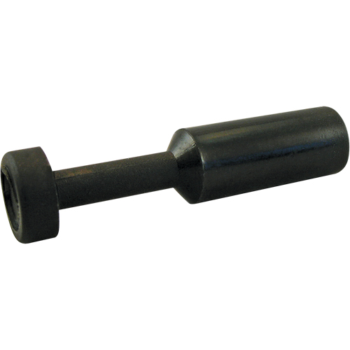 BOUCHON P.T.C. Oxymax Inc