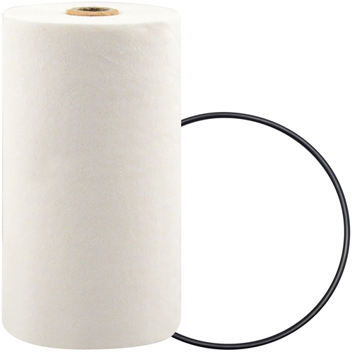 P7247 Filtre pour liquide de refroidissement &agrave; visser avec additif BTE Oxymax Inc