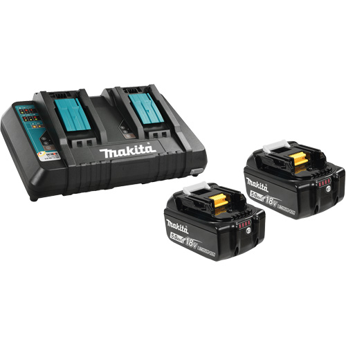 Ensemble de batterie au lithium-ion & chargeur &agrave; double port, 18 V, Lithium-ion Oxymax Inc