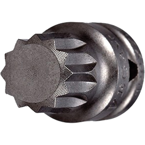 Socket Bit, Triple Square, 5 x 3/4" L, 1/4" Drive Oxymax Inc