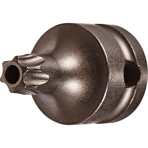 Socket Bit, Torx&reg; Tamper, 25 x 1" L, 3/8" Drive Oxymax Inc