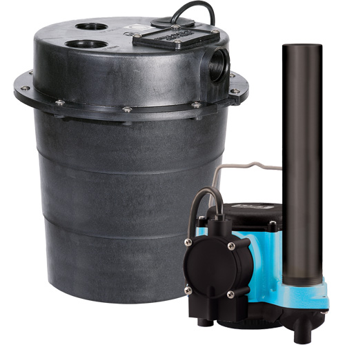 Pompe imerg&eacute;e s&eacute;rie WRS, 45 gal./min, 115 V, 9 A, 1/3 CV Oxymax Inc