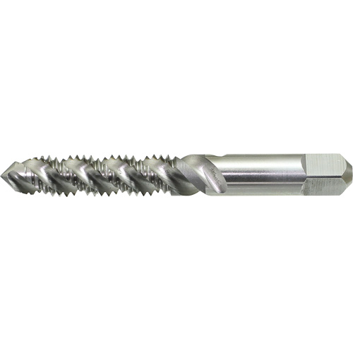 Taraud &agrave; main &agrave; cannelure spiral&eacute;e DRILLCO, Acier rapide, Filet 1/4"-20 Oxymax Inc