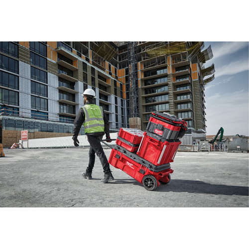 Packout Rolling Tool Chest, 15-4/5" x 34" x 28", Red Oxymax Inc