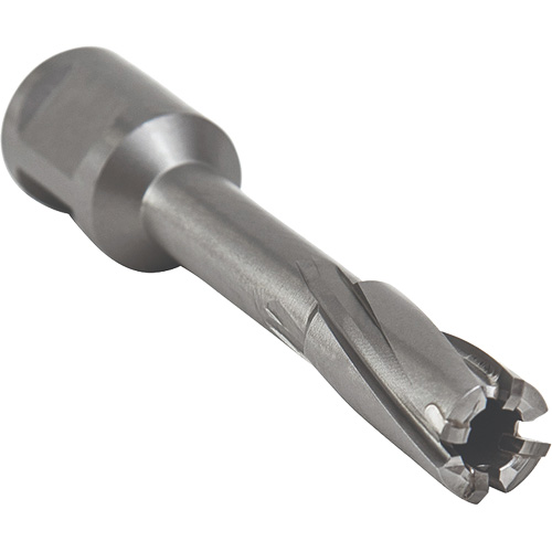 Core Cut Annular Cutter with Weldon Shank, 12 mm Diameter, Carbide, 55 mm Depth of Cut, 3/4" Shank Oxymax Inc