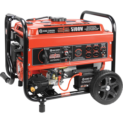 G&eacute;n&eacute;ratrice &agrave; essence/au propane &agrave; d&eacute;marreur &eacute;lectrique Oxymax Inc
