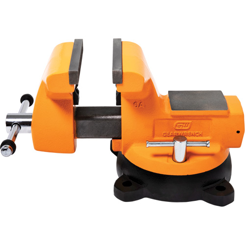 Mechanic's Bench Vise with Anvil, 6" Jaw Width Oxymax Inc