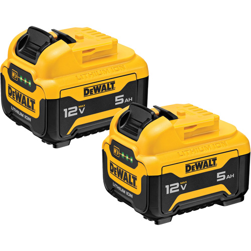 Bloc-piles Max*, Lithium-ion, 12 V, 5 Ah Oxymax Inc