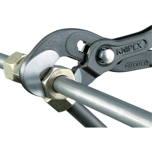 Pince Raptor, 10" Oxymax Inc