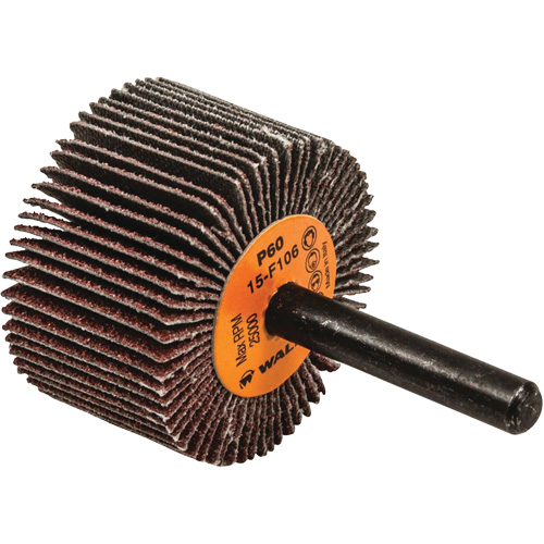 Disques &agrave; lamelles - Meules &agrave; lamelles Coolcut, Oxyde d'aluminium, Grain 60, 1-1/2" x 1" x 1/4" Oxymax Inc