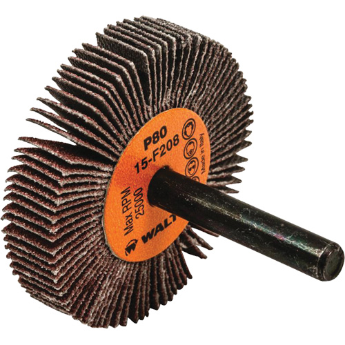 Disques &agrave; lamelles - Meules &agrave; lamelles Coolcut, Oxyde d'aluminium, Grain 80, 2" x 3/8" x 1/4" Oxymax Inc