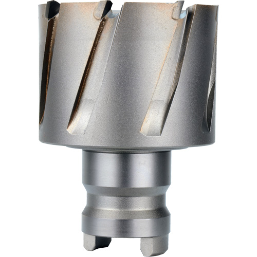 Fraise avec tenon &agrave; changement rapide Drive Hawg, Diam&egrave;tre de 2", Acier, Profondeur de la coupe de 1" Oxymax Inc