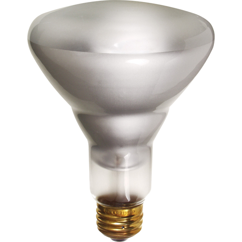 Economy Line Incandescent Lamps Oxymax Inc