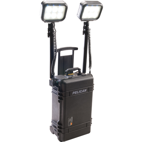 9460 Remote Area Lighting Systems, LED, 12,000 Lumens, Plastic Housing Oxymax Inc