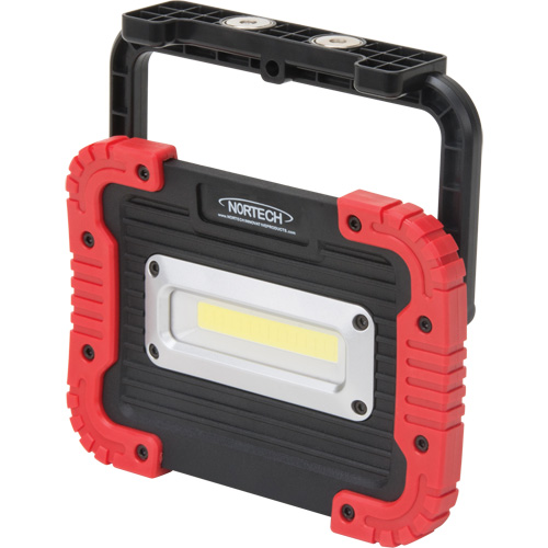 Lampe de travail portative, DEL, 10 W, 1000 lumens, Boîtier en Plastique Oxymax Inc