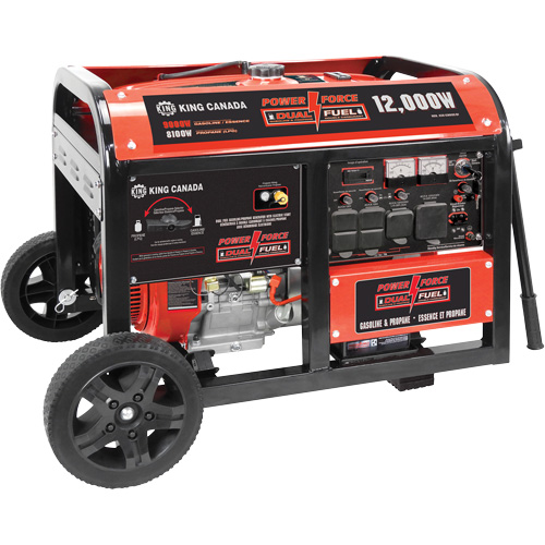 Gasoline/Propane Generator with Electric Start Oxymax Inc