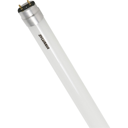 Ampoule DEL en verre givr&eacute; SubstiTUBE, 12 W, T8, 5000 K, 48" l Oxymax Inc