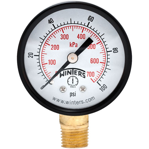Economy Pressure Gauge, 2" , 0 - 100 psi, Bottom Mount, Analogue Oxymax Inc