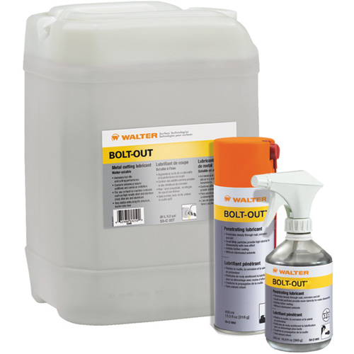 Lubrifiant d&eacute;grippant Bolt-Out, Canette a&eacute;rosol Oxymax Inc