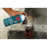 3&reg; Premier Rust Inhibitor, Aerosol Can Oxymax Inc