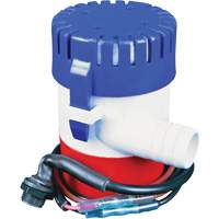 BenchtopPro&reg; Pump Assembly Oxymax Inc