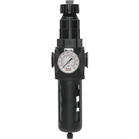 Filtre/r&eacute;gulateur Modulair 400 avec vidange manuelle, 3/4" NPT, 200 psi, Capacit&eacute; de 9,1 oz liq. Oxymax Inc