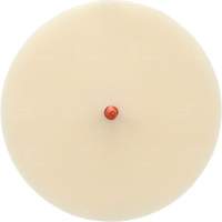 Disque Scotch-Brite 7502 pour retrait de colle et de bandes de moulage, 6" dia. Oxymax Inc