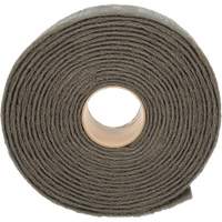 Ruban de nettoyage et de finition Scotch-Brite, Tr&egrave;s fin, 4" la x 30' lo Oxymax Inc