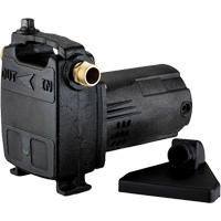 Portable Cast Iron Transfer Pump, 115 V, 950 GPH, 1/2 HP DC841 | Oxymax Inc