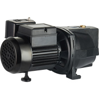 Dual Voltage Cast Iron Shallow Well Jet Pump, 115 V/230 V, 1100 GPH, 1 HP DC853 | Oxymax Inc