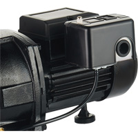 Dual Voltage Cast Iron Shallow Well Jet Pump, 115 V/230 V, 1100 GPH, 1 HP DC853 | Oxymax Inc