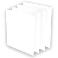 Pr&eacute;-filtres AeraMax Pro AM3 ou AM4, 13,75" la x 0,13" p x 14,38" h Oxymax Inc