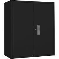 Lo-Boy Storage Cabinet, Steel, 2 Shelves, 42" H x 36" W x 18" D, Black Oxymax Inc