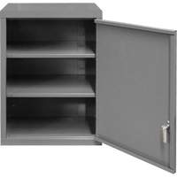 Armoire murale, 27" h x 13-11/16" la x 18" p, 2 tablettes, Acier, Gris Oxymax Inc