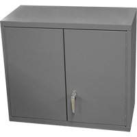 Armoire murale, 27" h x 13-11/16" la x 35-7/8" p, 2 tablettes, Acier, Gris Oxymax Inc