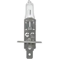 64155 Ampoule automobile de base, Halog&egrave;ne, 78 W, Blanc cass&eacute; Oxymax Inc