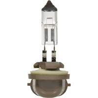 Automotive Supplies