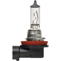 H8 Basic Headlight Bulb, Halogen, 35 W, Off White Oxymax Inc