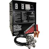 Multi-Battery Series Charger Oxymax Inc
