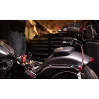 Chargeur de batterie 10 A Genius 10 Oxymax Inc