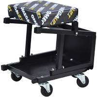2-in-1 Seat-Stool Combo Oxymax Inc