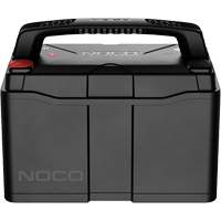 Batterie lithium-ion LiFePO4 &agrave; double usage de groupe 31, 120 Ah Oxymax Inc