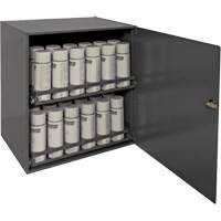 Armoire de rangement pour contenants a&eacute;rosol, Acier, 21-7/8" h x 15-15/16" la x 20-5/16" P, Gris Oxymax Inc