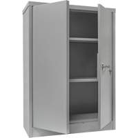 Armoire de rangement &agrave; hauteur de comptoir, Acier, 2 Tablettes, 42" h x 30" la x 15" P, Gris Oxymax Inc