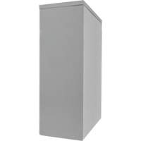 Armoire de rangement &agrave; hauteur de comptoir, Acier, 2 Tablettes, 42" h x 30" la x 15" P, Gris Oxymax Inc