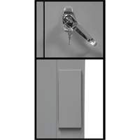 Armoire de rangement &agrave; hauteur de comptoir, Acier, 2 Tablettes, 42" h x 30" la x 15" P, Gris Oxymax Inc