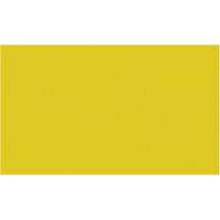 Cales minces chromocod&eacute;es en plastique Oxymax Inc