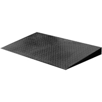 VN Series Economical Floor Scales - Ramp Oxymax Inc