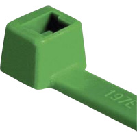 Attaches pour c&acirc;ble PA66 homologu&eacute;es UL, Longueur 4", R&eacute;sistance &agrave; la traction 18 lb, Vert Oxymax Inc