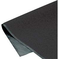 Tapis ColorStar, Essuie-pieds, 4' x 6' x 3/8", Charbon Oxymax Inc
